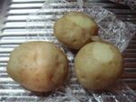 DSC02657.jpg