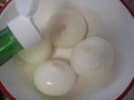 DSC03667.jpg