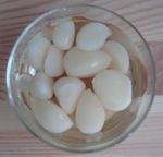 DSC03729.jpg