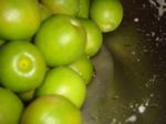 DSC03848.jpg