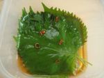 DSC04744.jpg