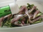 DSC04753.jpg