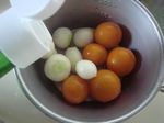 DSC05517.jpg