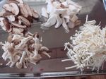 DSC05883.jpg
