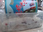 DSC05907.jpg