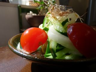P1000559.jpg