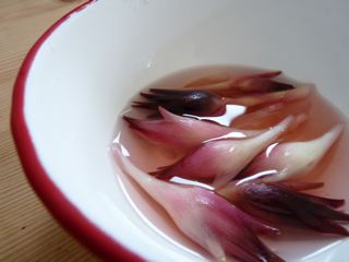 P1010627.jpg