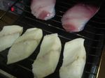DSC05411.jpg