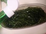 DSC05413.jpg