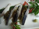 DSC05493.jpg